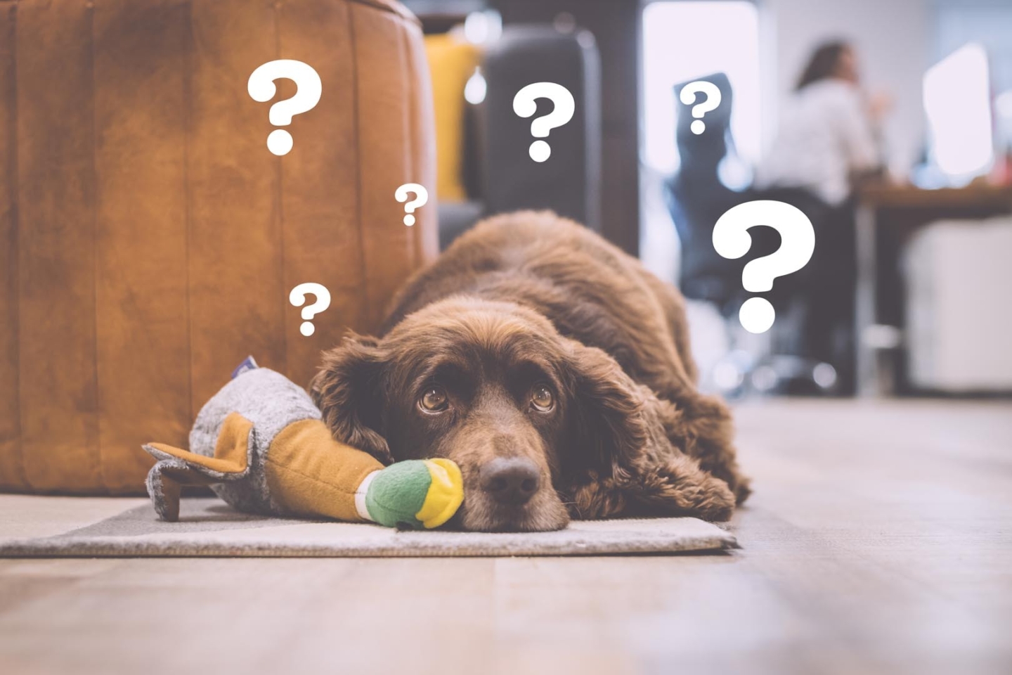 5ec3d43f5726db2d9e4c979c 31