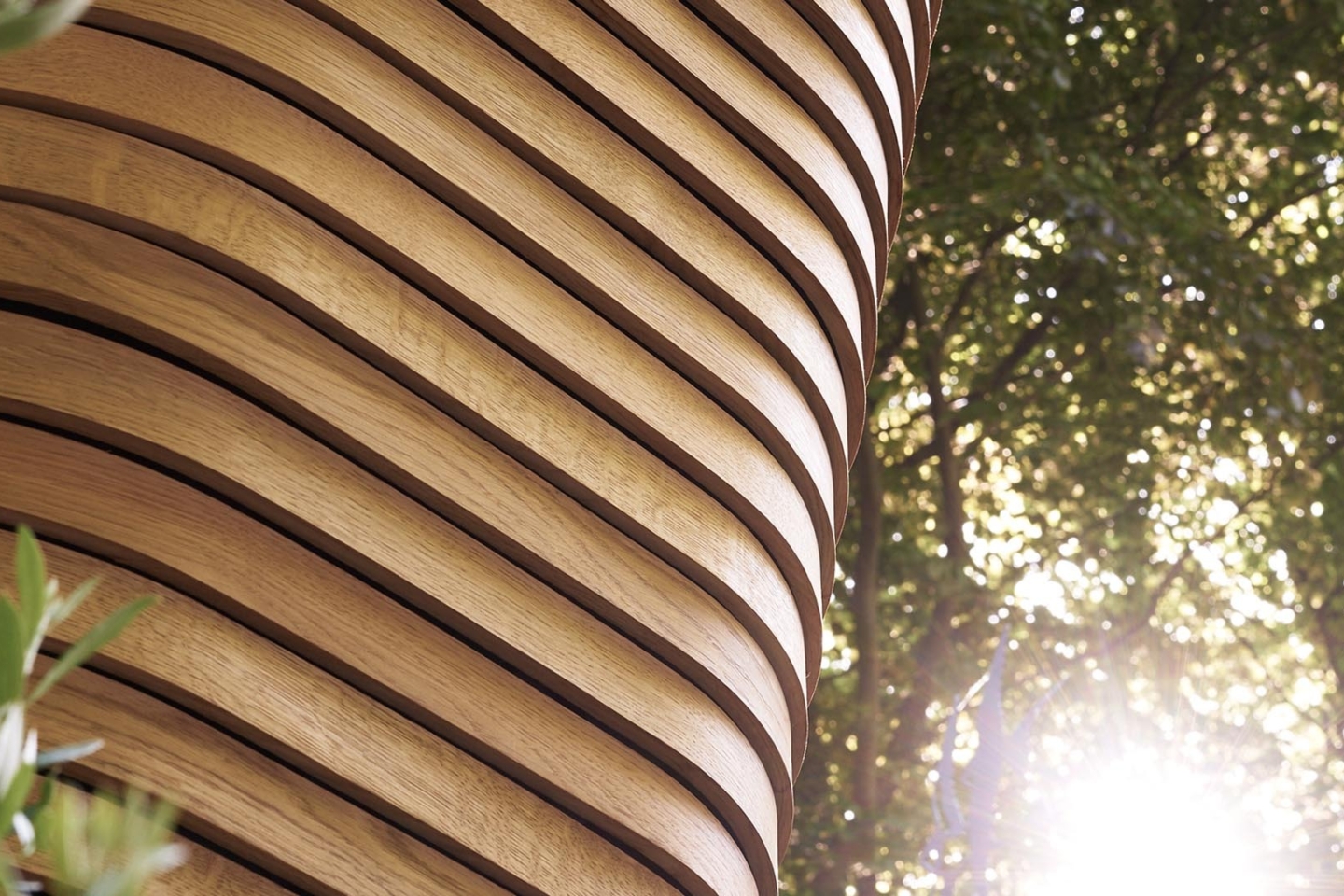 5ec3d451e441019a34a91d9c 33