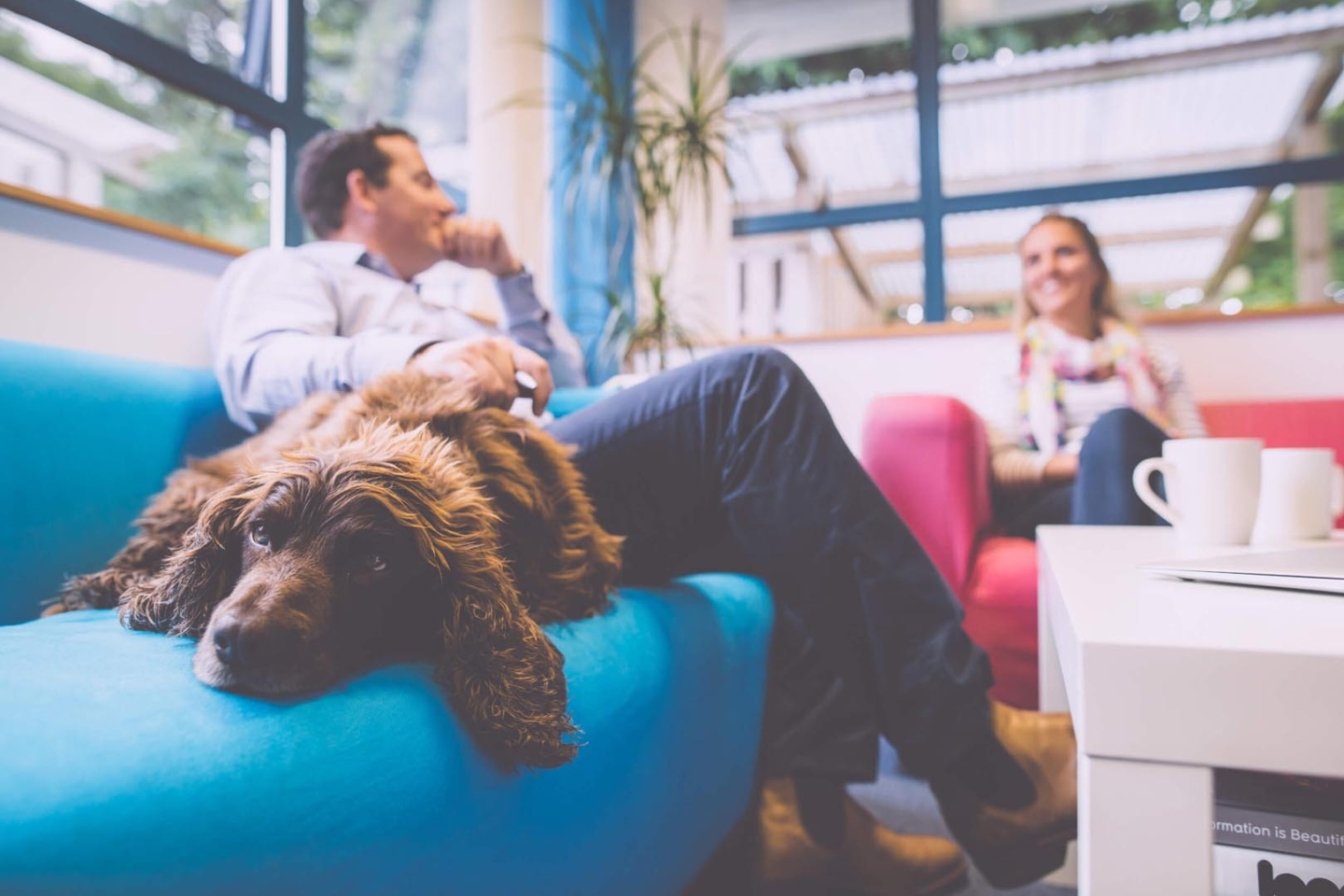 5ec3d4b49d5edfe80f56bc27 44