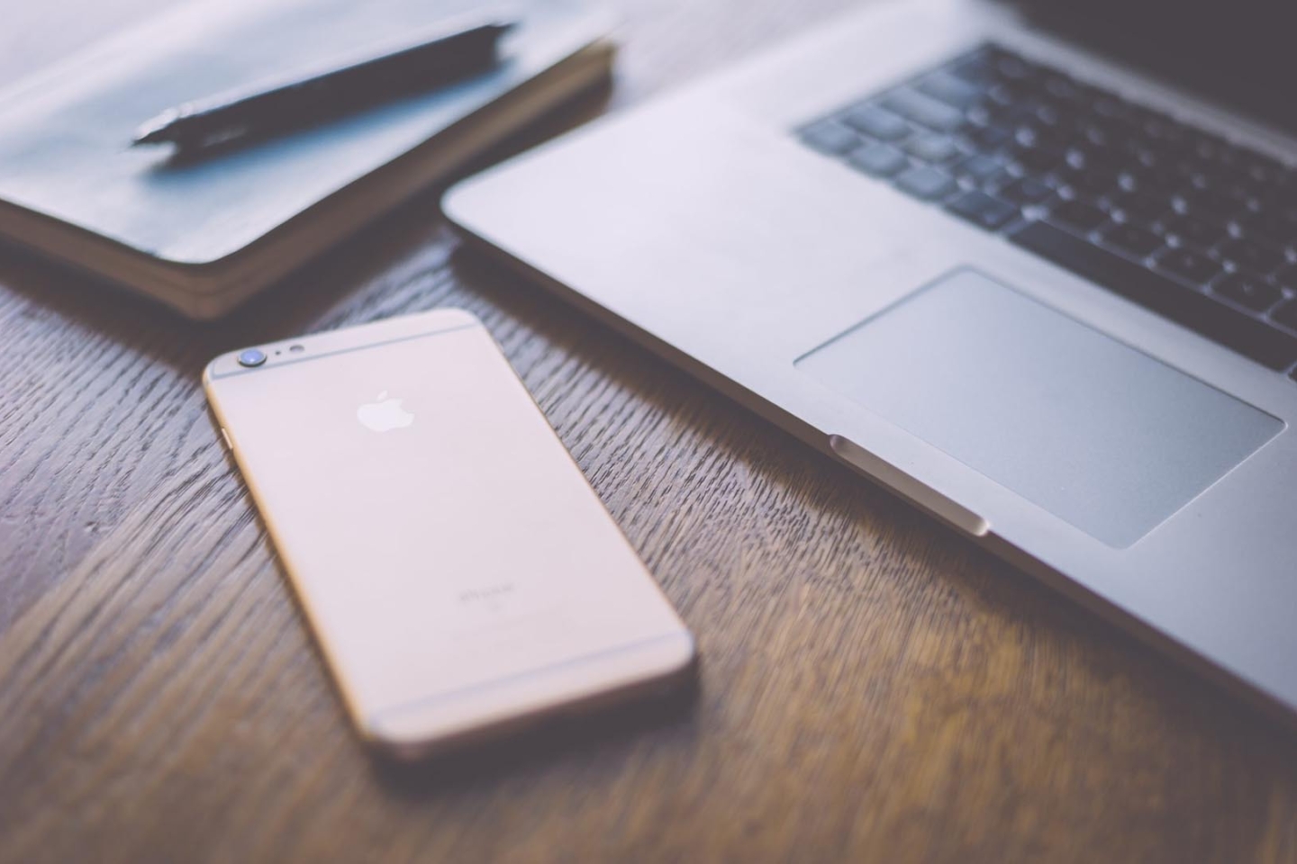 5ec3d509bf83b017852c2a26 49