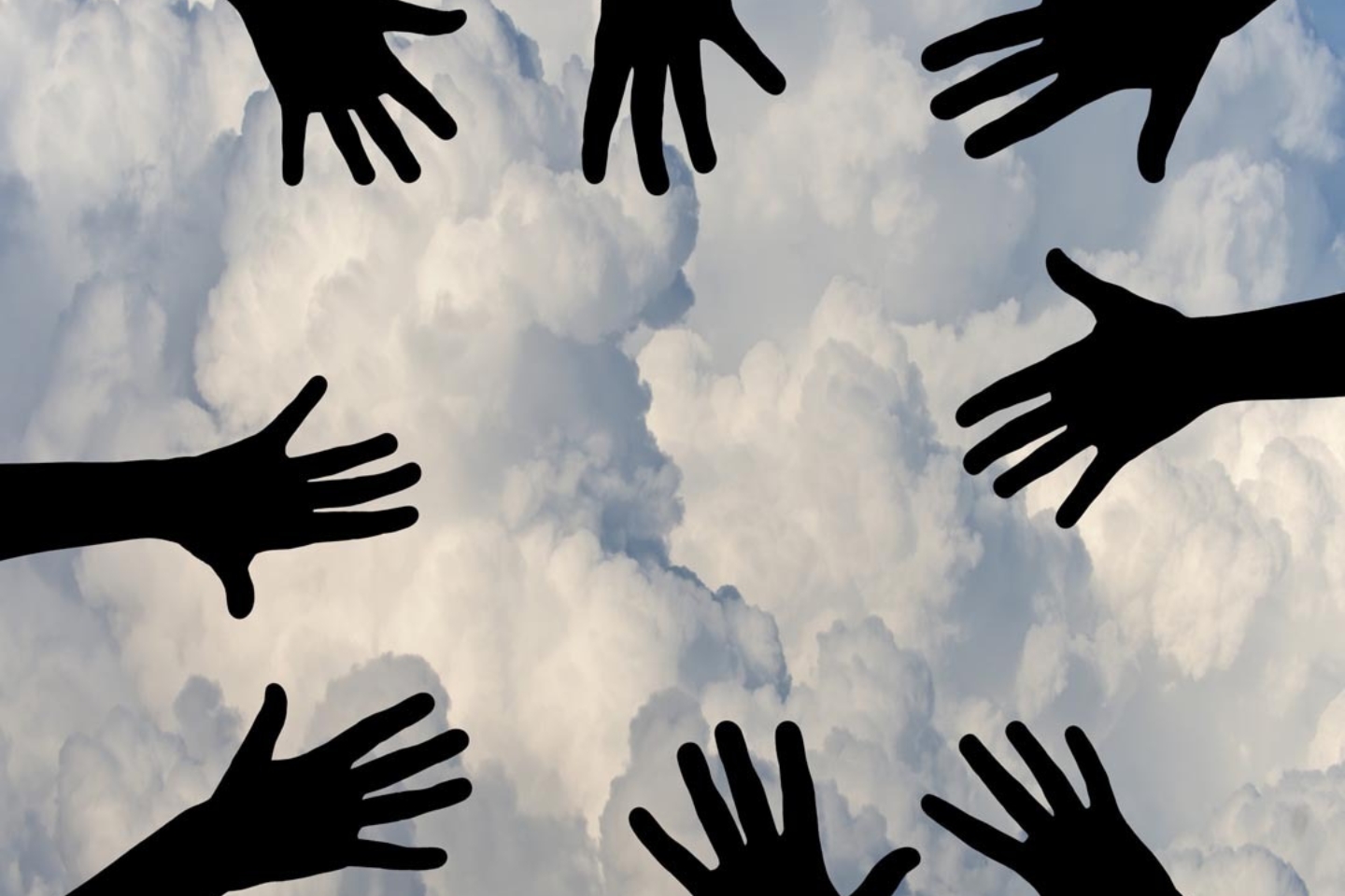 5ec3db7e293839f4ed2a8cec 111