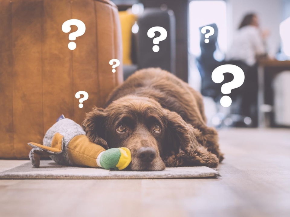 5ec3d43f5726db2d9e4c979c 31