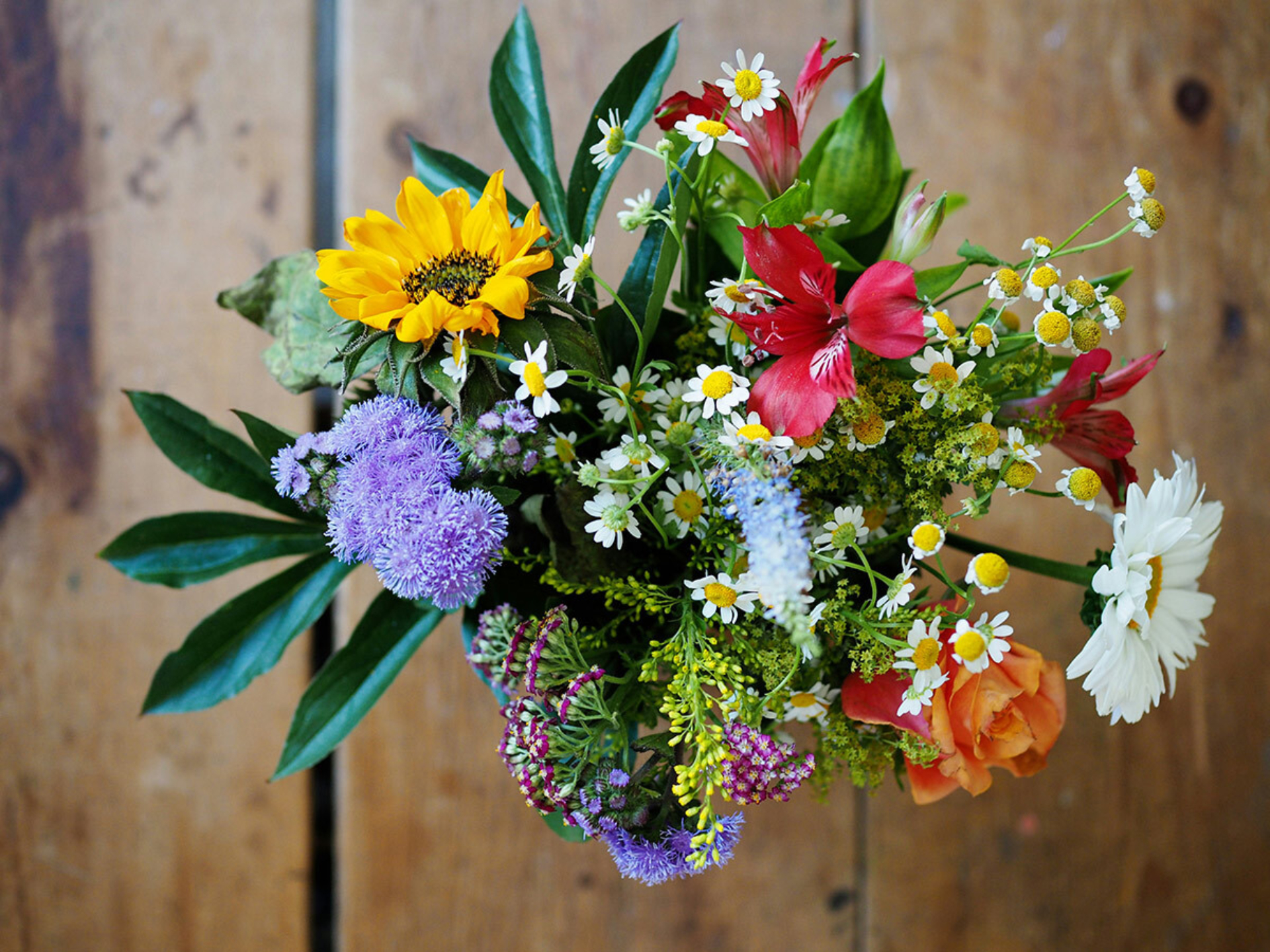 Seasonal florals