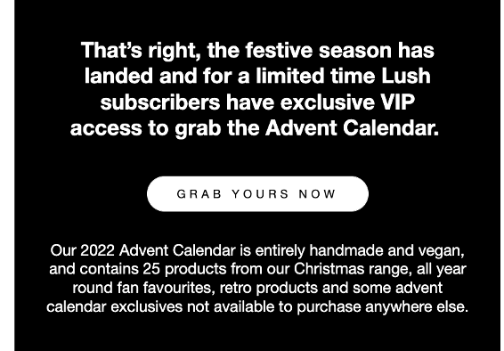 Lush Email Example 2